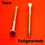1010-torx-teilgew.jpg