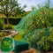 Bild des Windhager Obstbaum-Netzes Bild des Windhager Obstbaum-Netzes