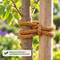 Bild des Conacord Kokosgarns Bild des Conacord Kokosgarns