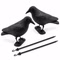 Bild des Windhager Taubenschreck Rabens Bild des Windhager Taubenschreck Rabens