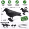 Bild des Windhager Taubenschreck Rabens Bild des Windhager Taubenschreck Rabens
