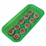 Bild des Mini Treibhauses ohne Deckel