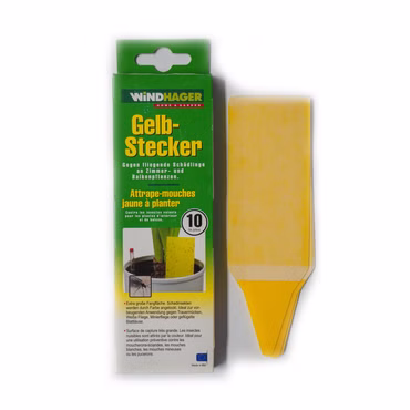 Bild des Windhager Gelbsteckers