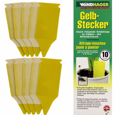 Bild der Verpackung sowie des Artikels Gelbstecker