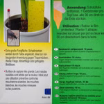 Bild des Windhager Gelbsteckers