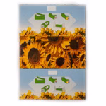 Bild der Fensterfliegenfalle Windhager Diskret