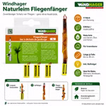Bild des Windhager Fliegenfängers Bild des Windhager Fliegenfängers