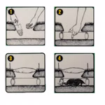 Bild einer Wühlmausfalle