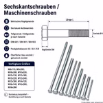 Bild der Reisser Maschinenschrauben Bild der Reisser Maschinenschrauben