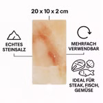Infografik des Salzsteins
