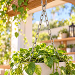 Bild der Conacord Ketten Bild der Conacord Ketten