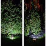 Bild des Tischlichts bei Nacht in der Natur