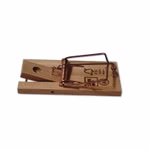 Bild einer Holz Mausefalle