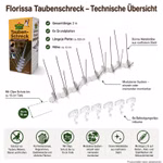 Bild des Florissa Taubenschrecks