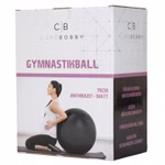 Frontaufnahme Gymnastikball Verpackung 75cm Ball