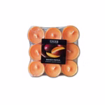 Bild von 1 Flavour Mango-Papaya-Teelichterpackung oben