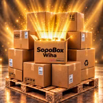 Bild der SopoBox Wiha