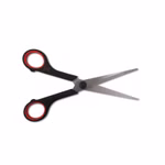 Bild der Meister Scheren