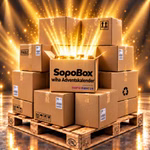 Bild der SopoBox wiha Adventskalender Bild der SopoBox wiha Adventskalender