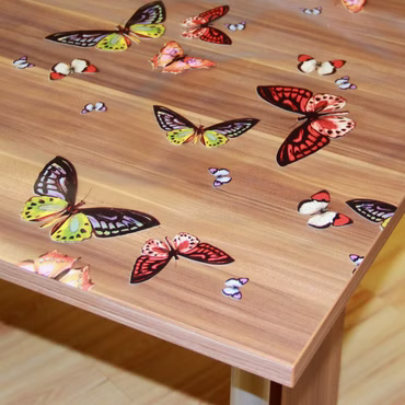 Bild der transparenten Tischdecke