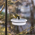 Bild der Windhager Vogeltränke Bild der Windhager Vogeltränke