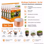 Bild des Windhager Schnecken Abwehrbands 5er Packs Bild des Windhager Schnecken Abwehrbands 5er Packs