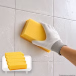 Bild des KronenHansa Kombischwamms Bild des KronenHansa Kombischwamms